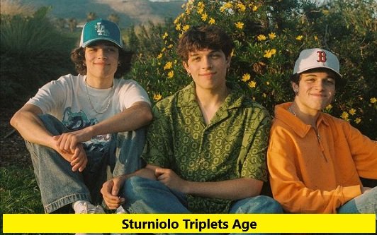 Sturniolo Triplets Age: Biography, Net Worth, Success Story & Future Vision