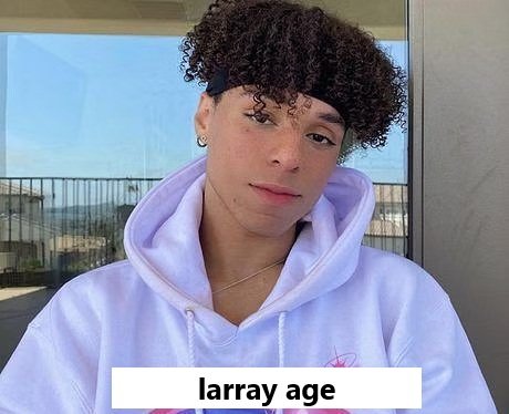 Larray Age: Biography, Net Worth, Famous Quotes, Career, Hobbies, & Future